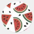 Search for watermelon party stickers Kids