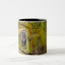 Search for great blue heron mugs Wildlife