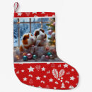 Search for guinea pig christmas stockings Rodent