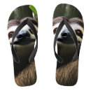Search for sloth shoes Lazy