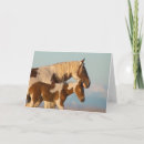 Search for mustang cards Wyoming