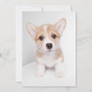 Search for corgi thank you cards Cute
