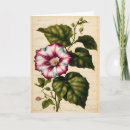 Search for morning glory birthday cards Floral