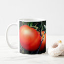 Search for tomato mugs Vegetable