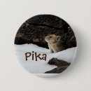 Search for rodents badges Wildlife