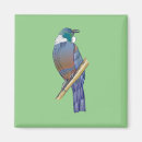 Search for native magnets Bird