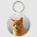 Search for ginger cat key rings Cute