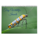 Search for insect calendars Bugs