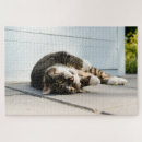 Search for porch Grey