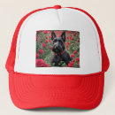 Search for scottish hats Terrier