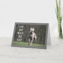 Search for weimaraner birthday cards Friend