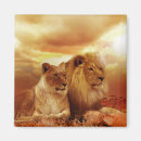 Search for lions magnets Cats