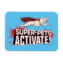 Search for pet magnets Quote