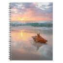 Search for beach shells notebooks Sand