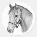 Search for horse drawing stickers Horses
