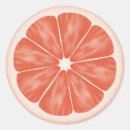 Search for grapefruit stickers Juicy