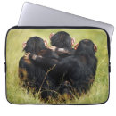 Search for chimp laptop cases Monkey