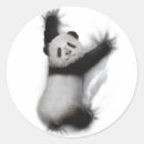 Search for animal humour stickers Cute