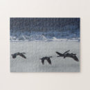 Search for canadian geese puzzles Canada goose
