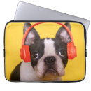 Search for young electronics Pet
