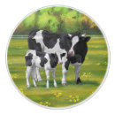 Search for cow knobs and pulls Cattle