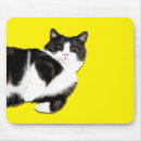 Search for hi tech mousepads Cat