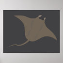 Search for stingray fish posters Animal