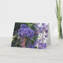 Search for california birthday cards Flowers
