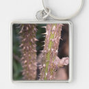 Search for stem key rings Green