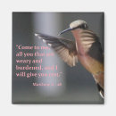 Search for resting magnets Hummingbird