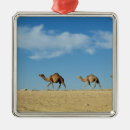 Search for training christmas tree decorations Animal