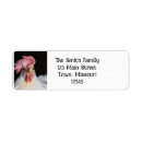 Search for funny bird return address labels Chicken