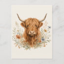 Search for cow postcards Watercolor