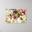 Search for pollination canvas prints Nature