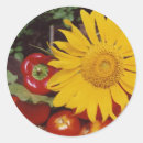 Search for drying stickers Seeds