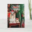 Search for hound christmas cards Pets