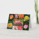 Search for beautiful rose cards Roses