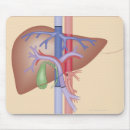 Search for procedures posters Work