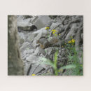 Search for banking photography Nature