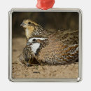 Search for camouflage christmas tree decorations Hunting