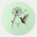Search for little bird stickers Avian
