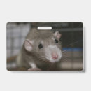 Search for russian office supplies Photography