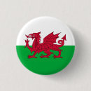 Search for welsh dragon badges United kingdom