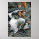 Search for patches posters White