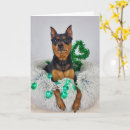 Search for pat cards Green