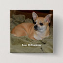Search for chihuahua badges Cute