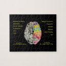 Search for left brained Education