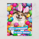 Search for easter postcards Funny