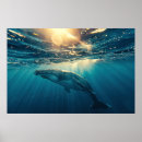 Search for under water Animal