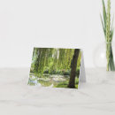 Search for lily flower note cards Flowers